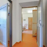 In D'albenga